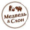 Медведь и Слон